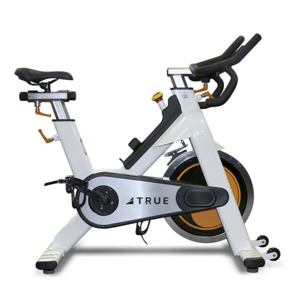 TRUE FITNESS Indoor Cycling Bike