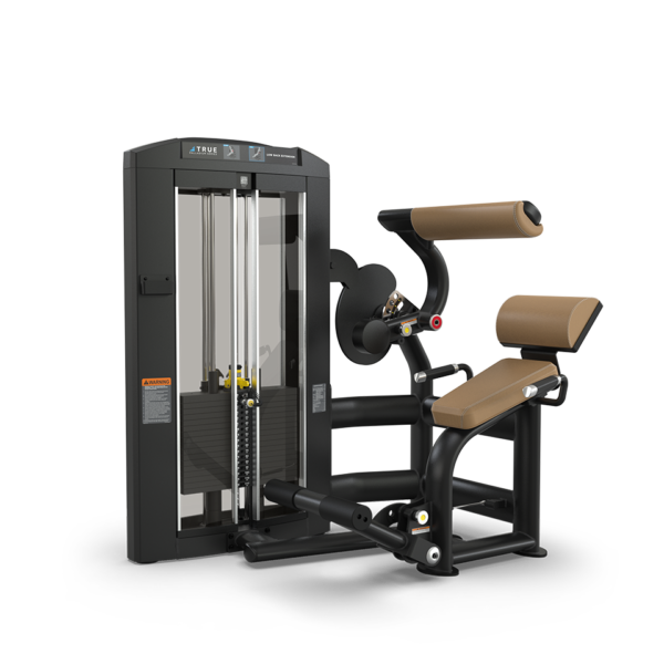 SPL-1300 Low Back Extension By True Fitness